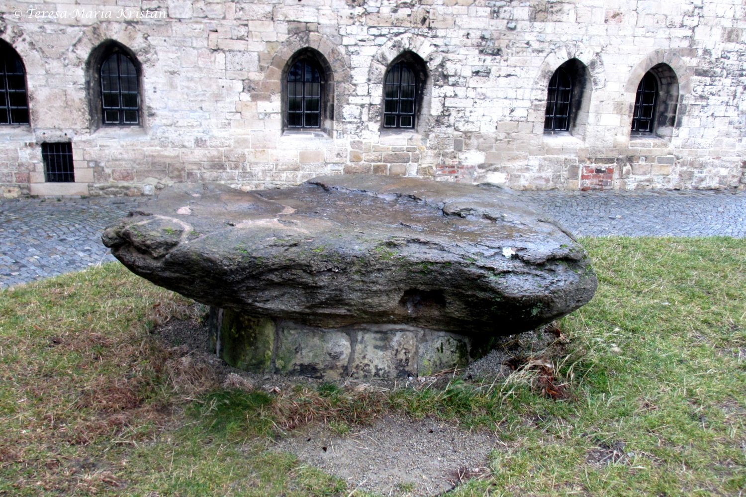 Teufelsstein, Dom von Halberstadt