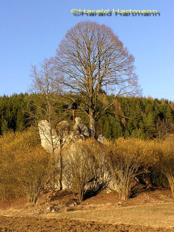 Teufelsstein