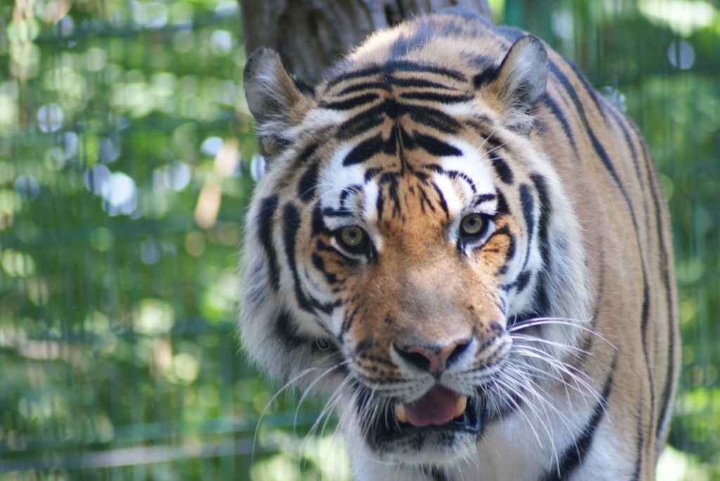 Tierpark Haag