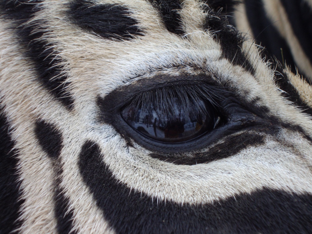 Tierpark Haag