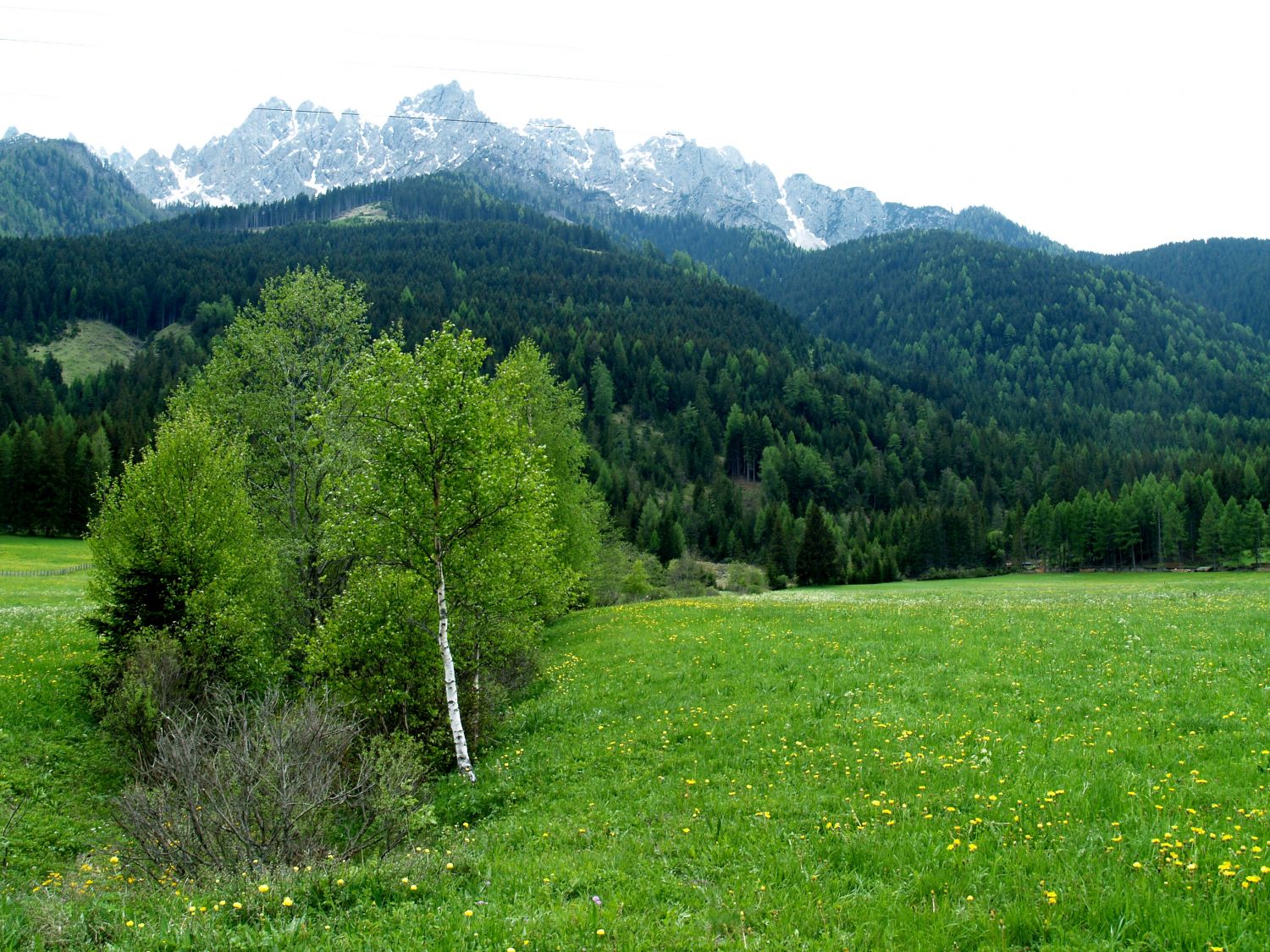 Toblach, Drauquelle