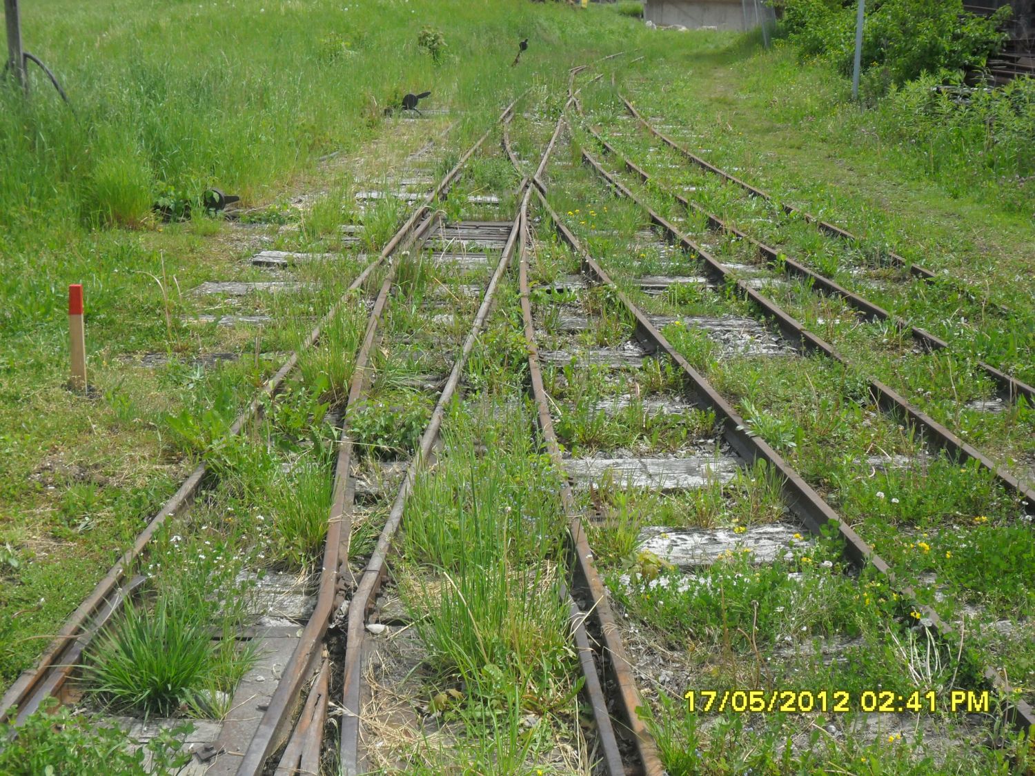 Torfabbau Feldbahn  Adelstettener Moor