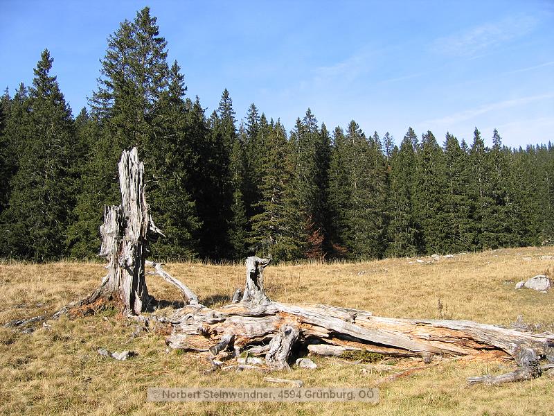 Tot - aber dauerhaft