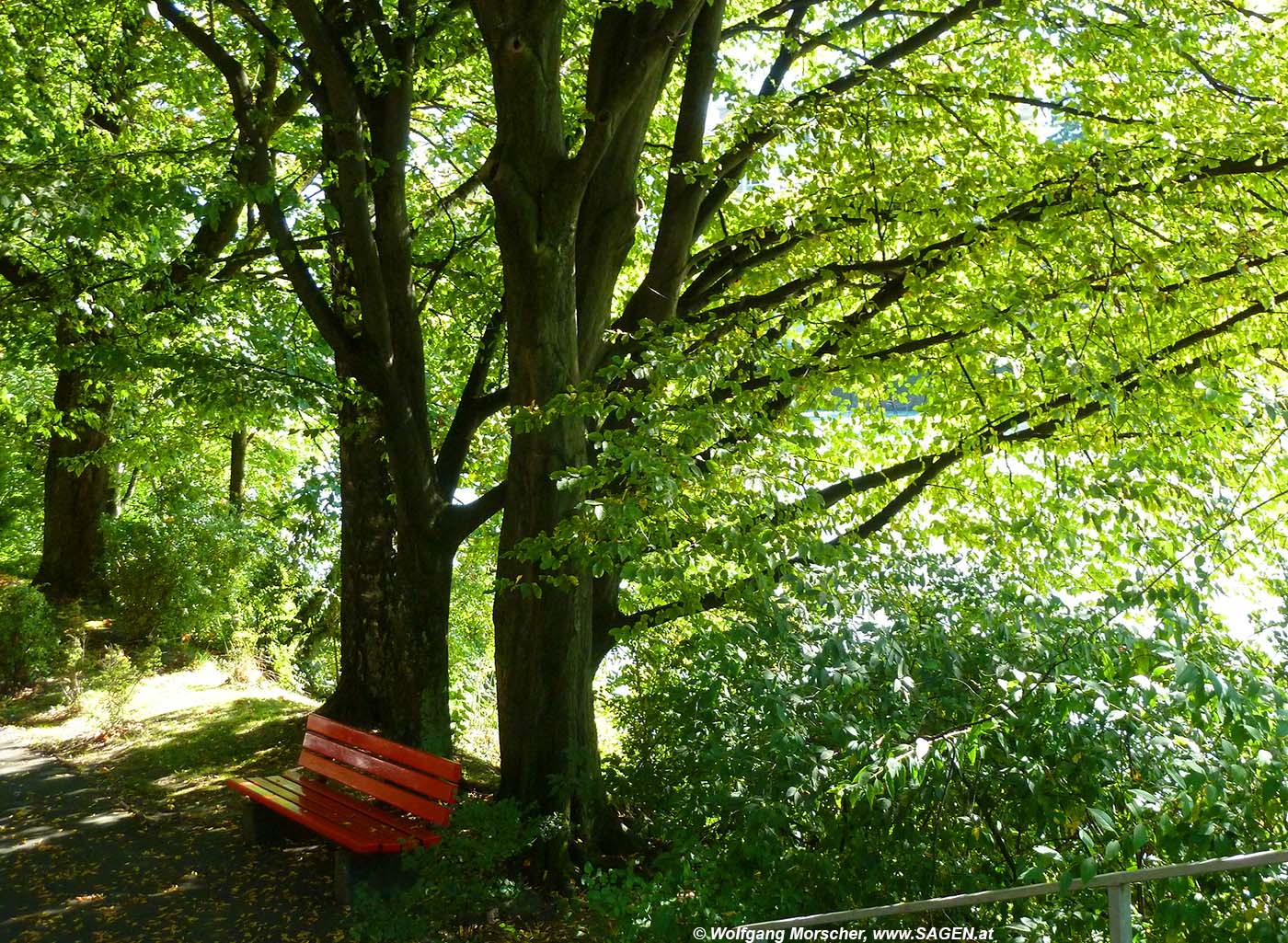 Traklpark, Innsbruck