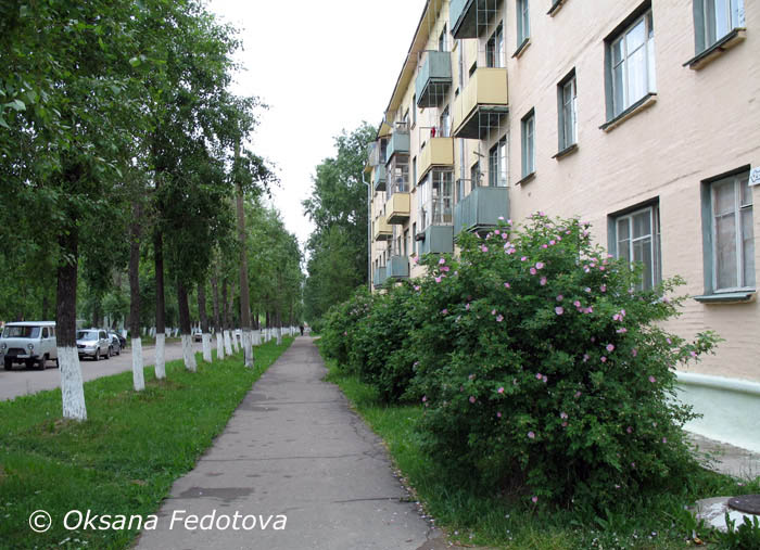 Tschajkowskogo-Straße, Mirny