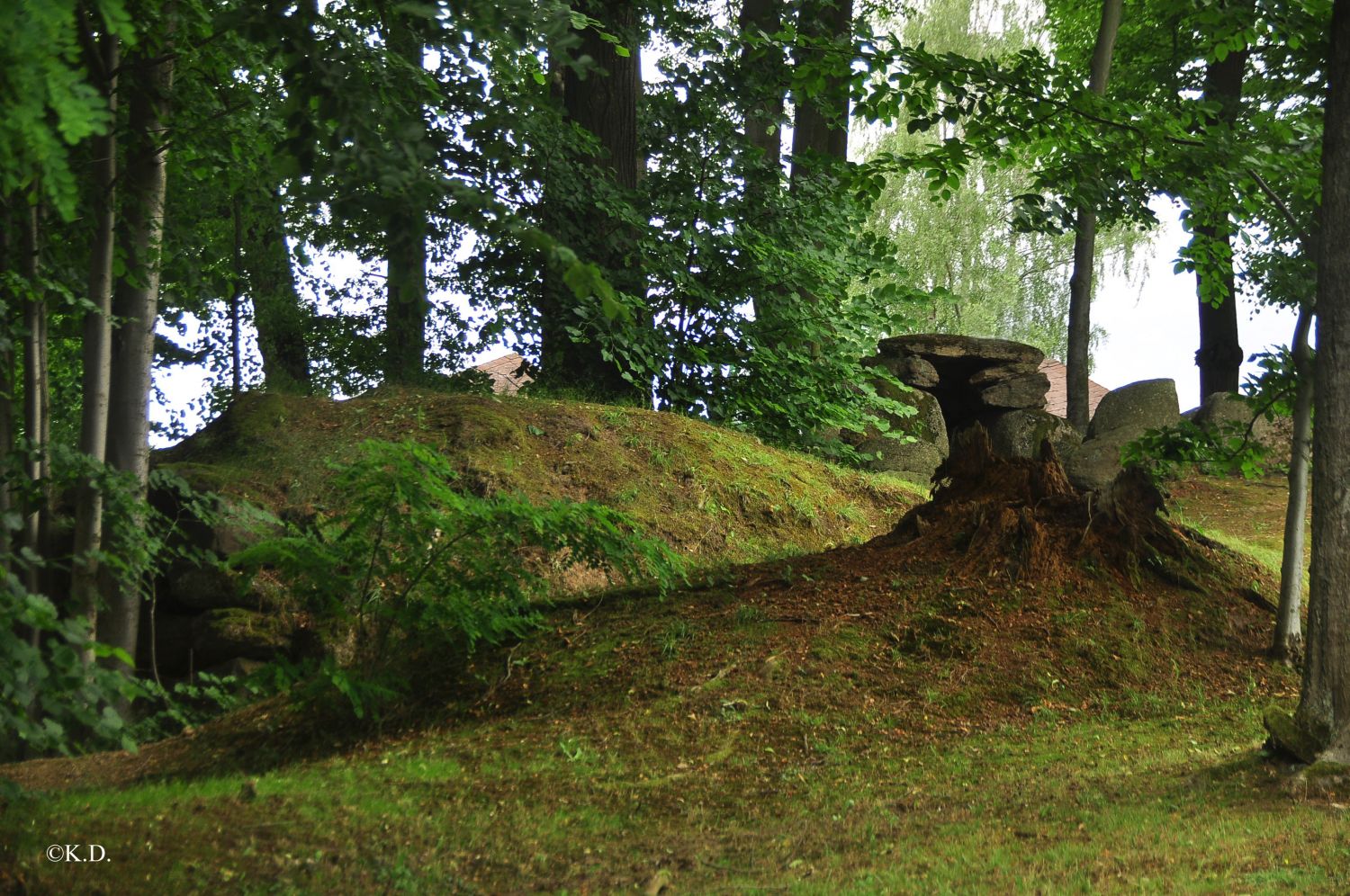 Tumulus und Dolmengrab in Schrems (Niederösterreich)