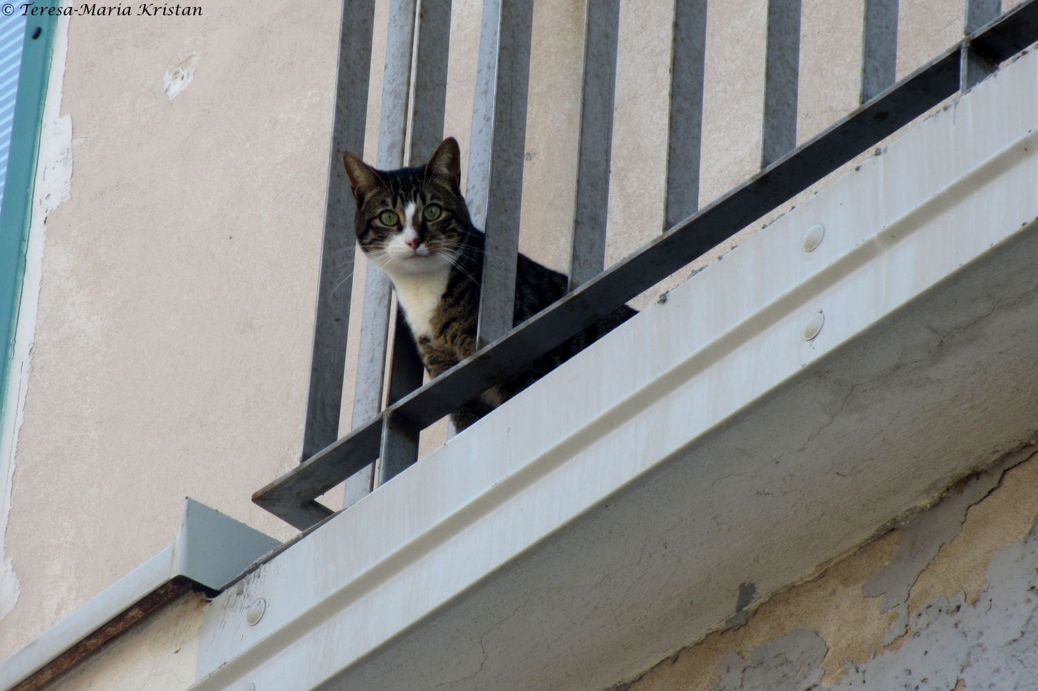 Unter Beobachtung, Piran