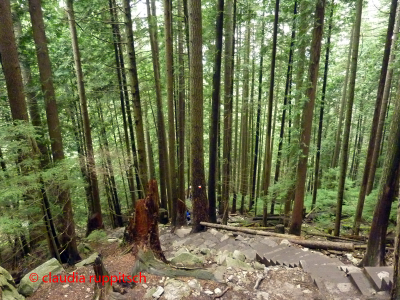 Vancouver, Grouse Mountain