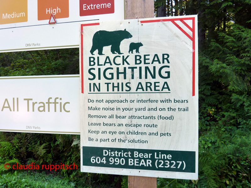 Vancouver, Lynn Canyon Park