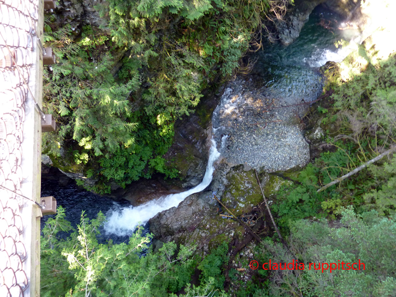 Vancouver, Lynn Canyon Park