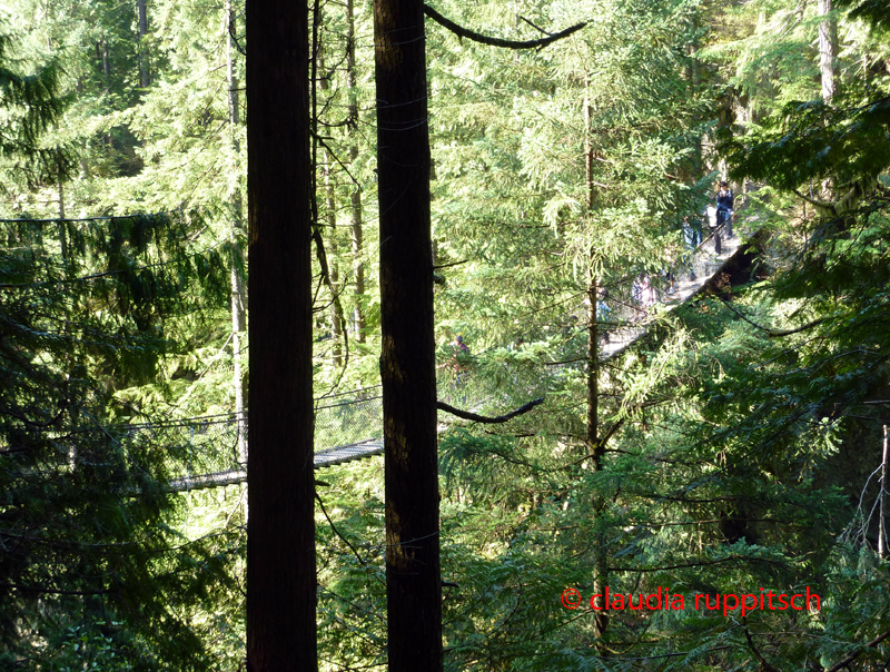 Vancouver, Lynn Canyon Park