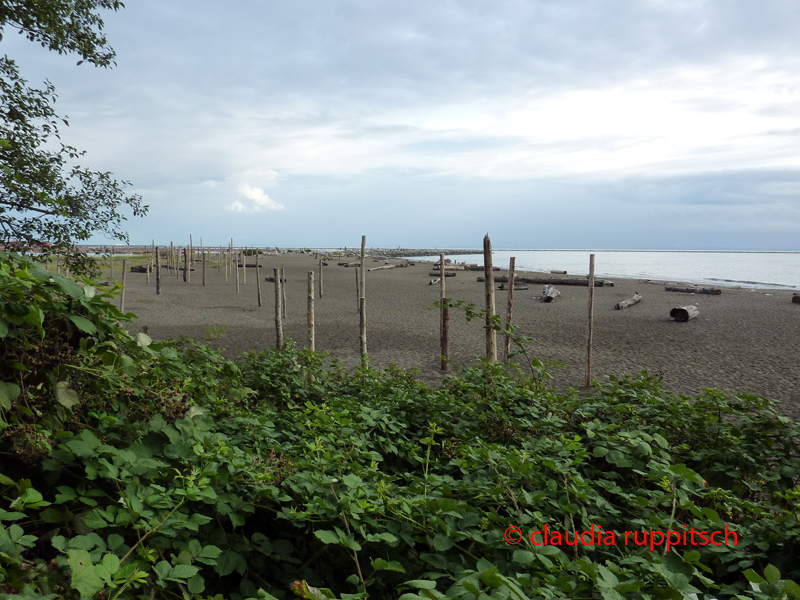 Vancouver, Pacific Spirit Regional Park