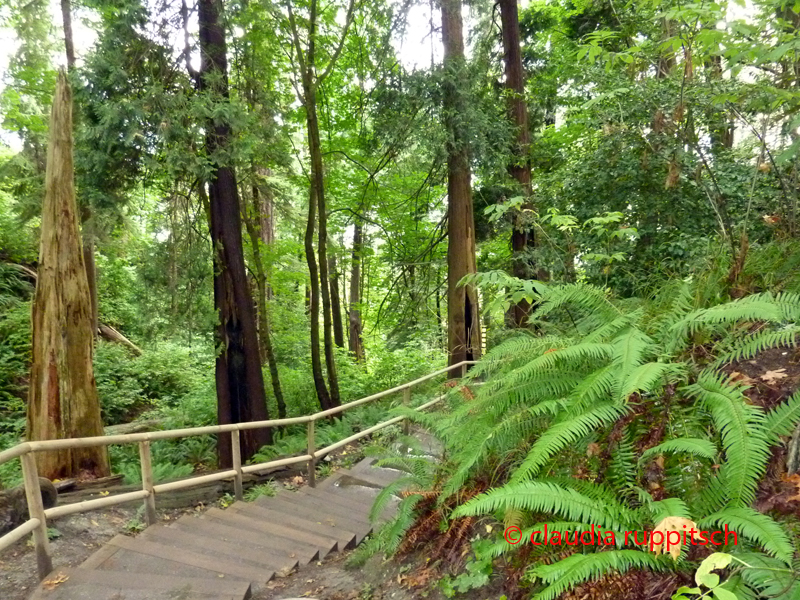 Vancouver, Pacific Spirit Regional Park