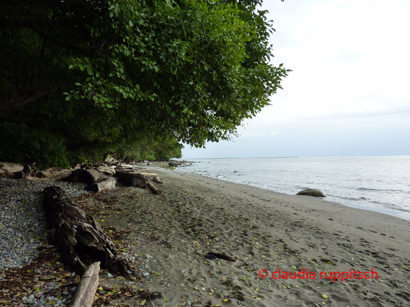 Vancouver, Pacific Spirit Regional Park