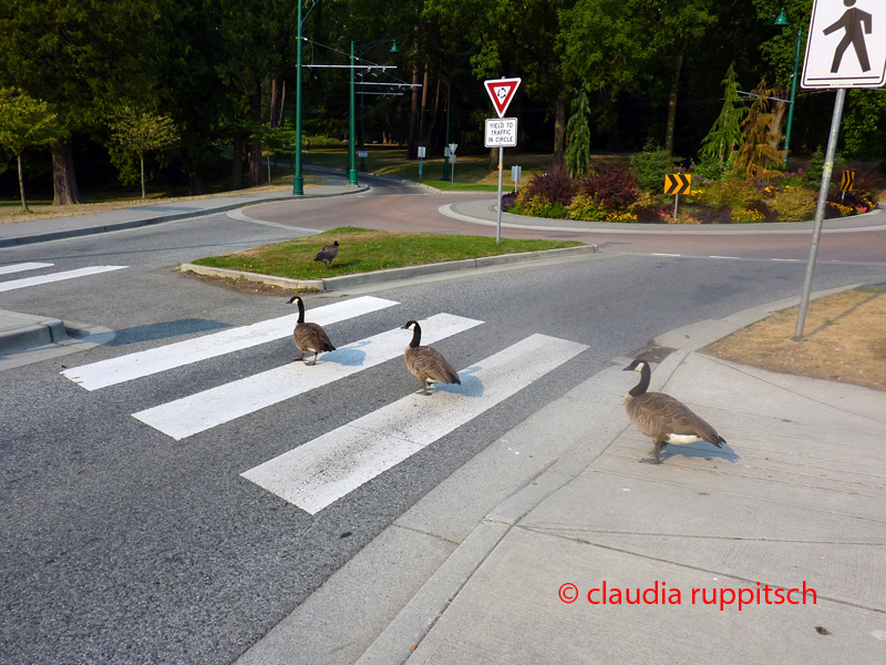 Vancouver, Stanley Park