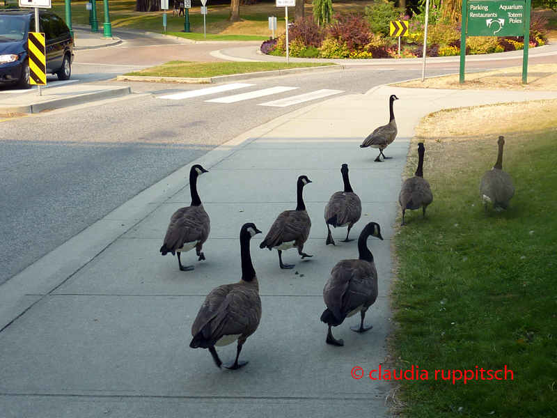 Vancouver, Stanley Park