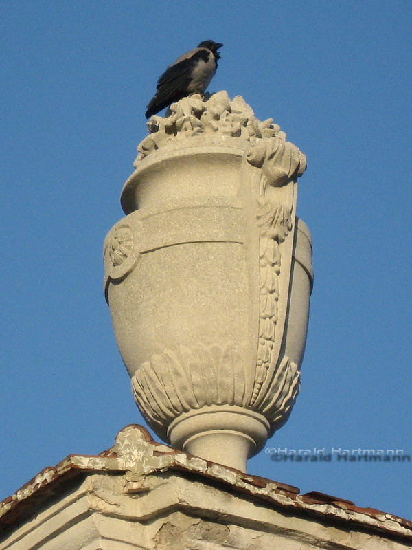 Vase im Augarten