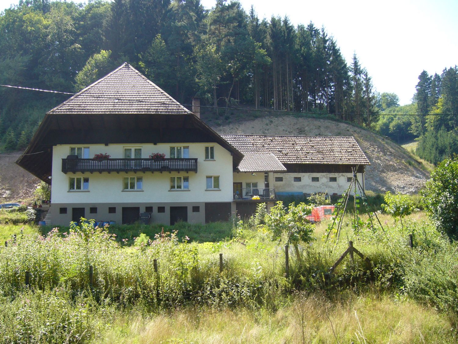 Vitenbauernhof in Welschensteinach