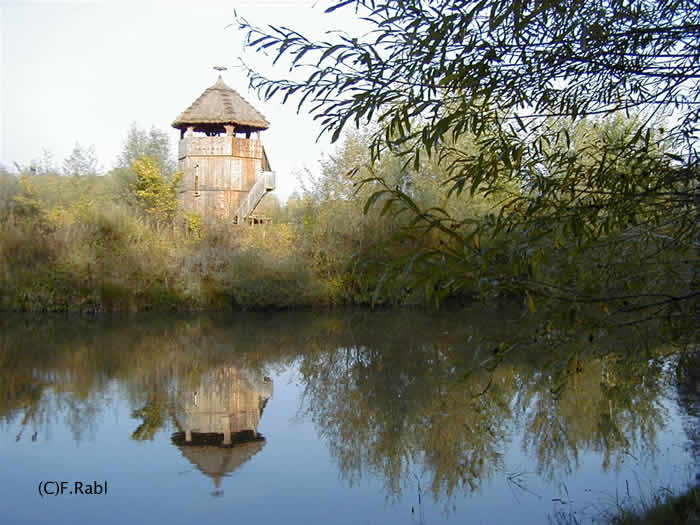 Vogelwarte an der Feistritz