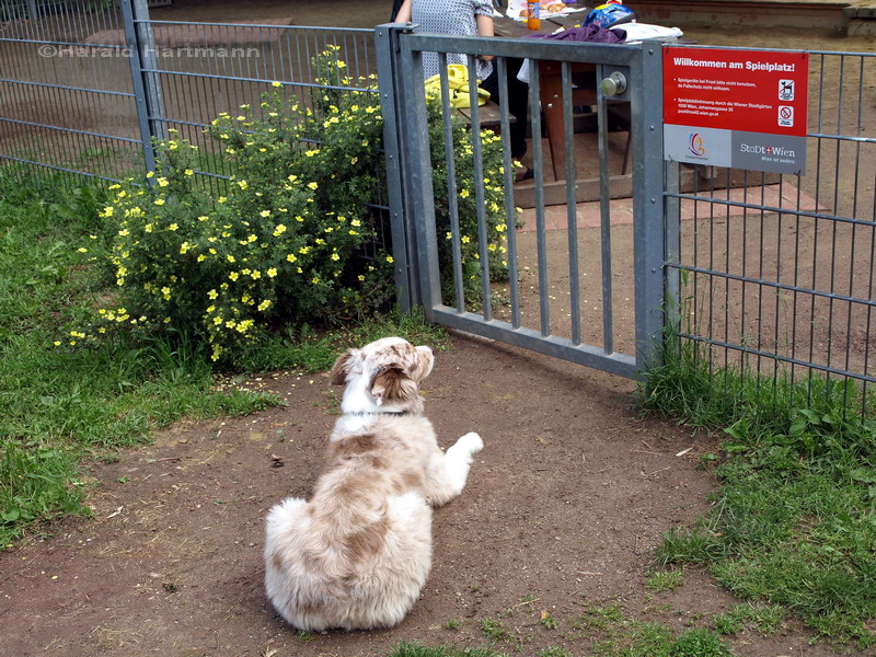 vor dem Spielplatz