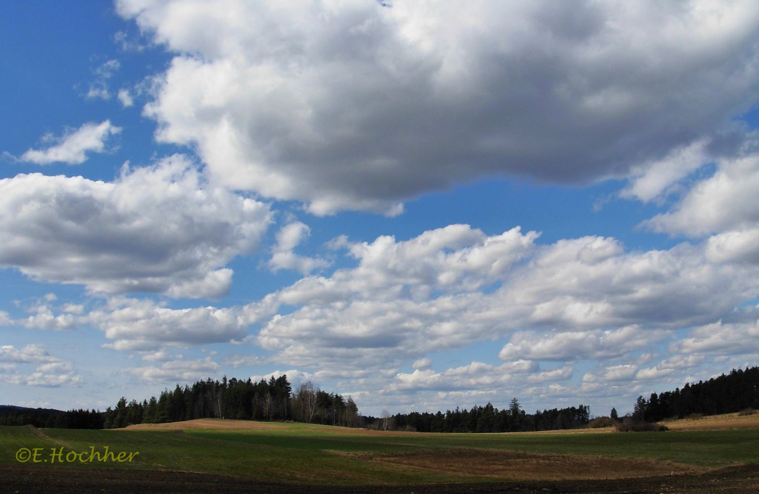 Vorfrühling im Waldviertel