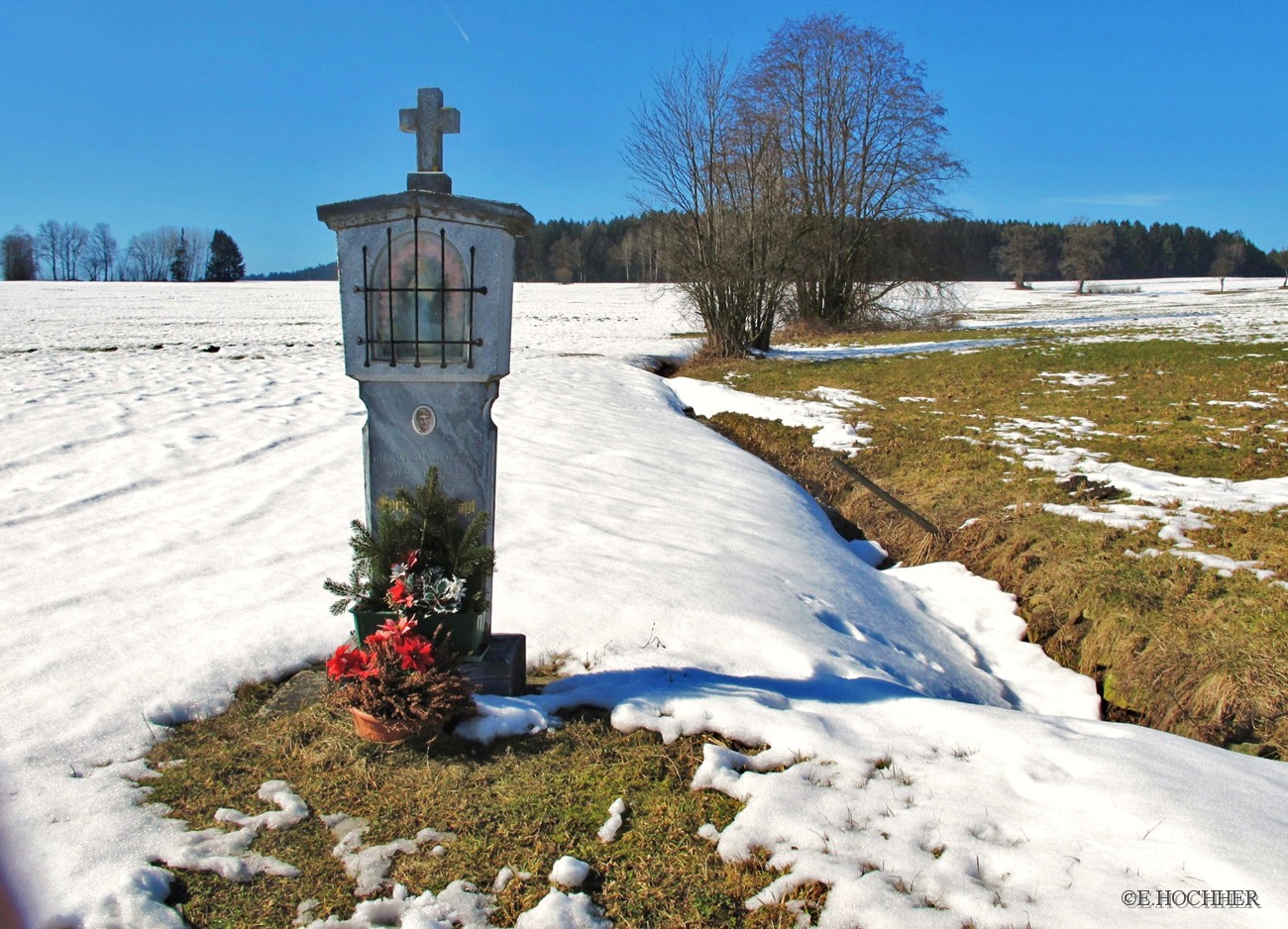 Vorfrühling