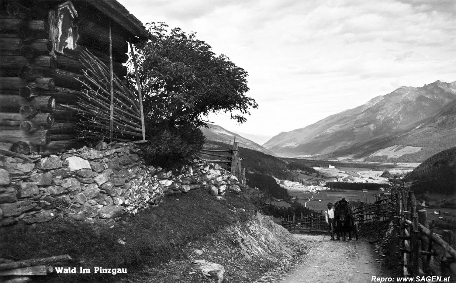 Wald im Pinzgau