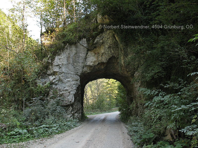 Waldbahn Reichraminger Hintergebirge