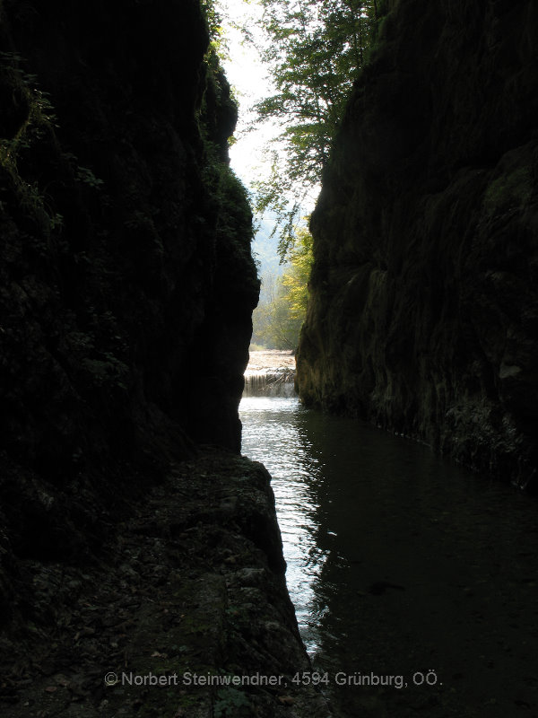 Waldbahn Reichraminger Hintergebirge