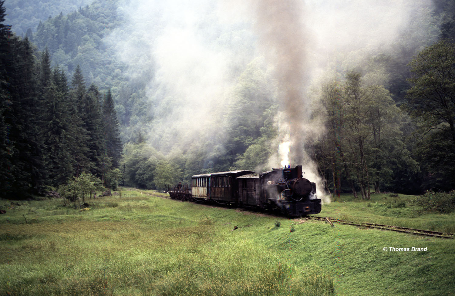 Waldbahn Viseu de Sus