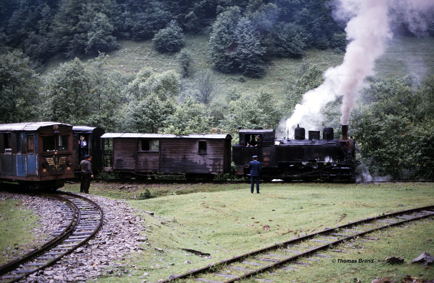 Waldbahn Viseu de Sus