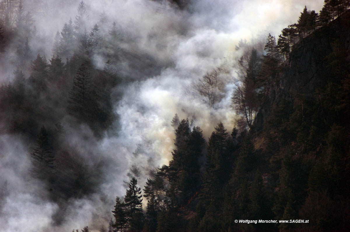 Waldbrand Innsbruck 3