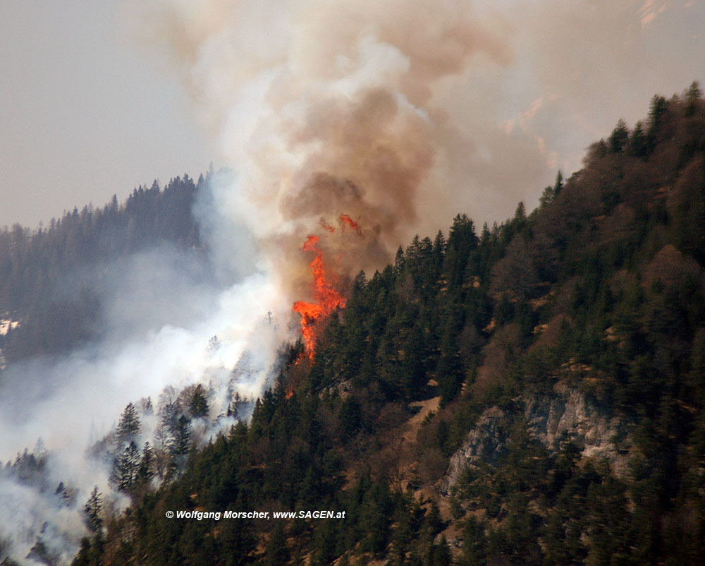 Waldbrand Innsbruck