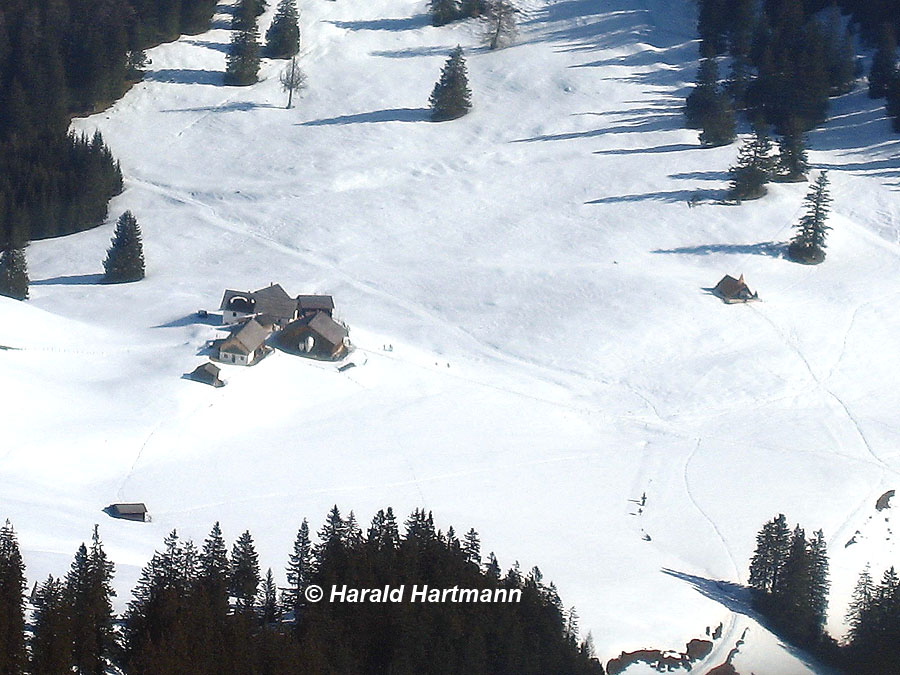 Walderalm bei Gnadenwald, Innsbruck