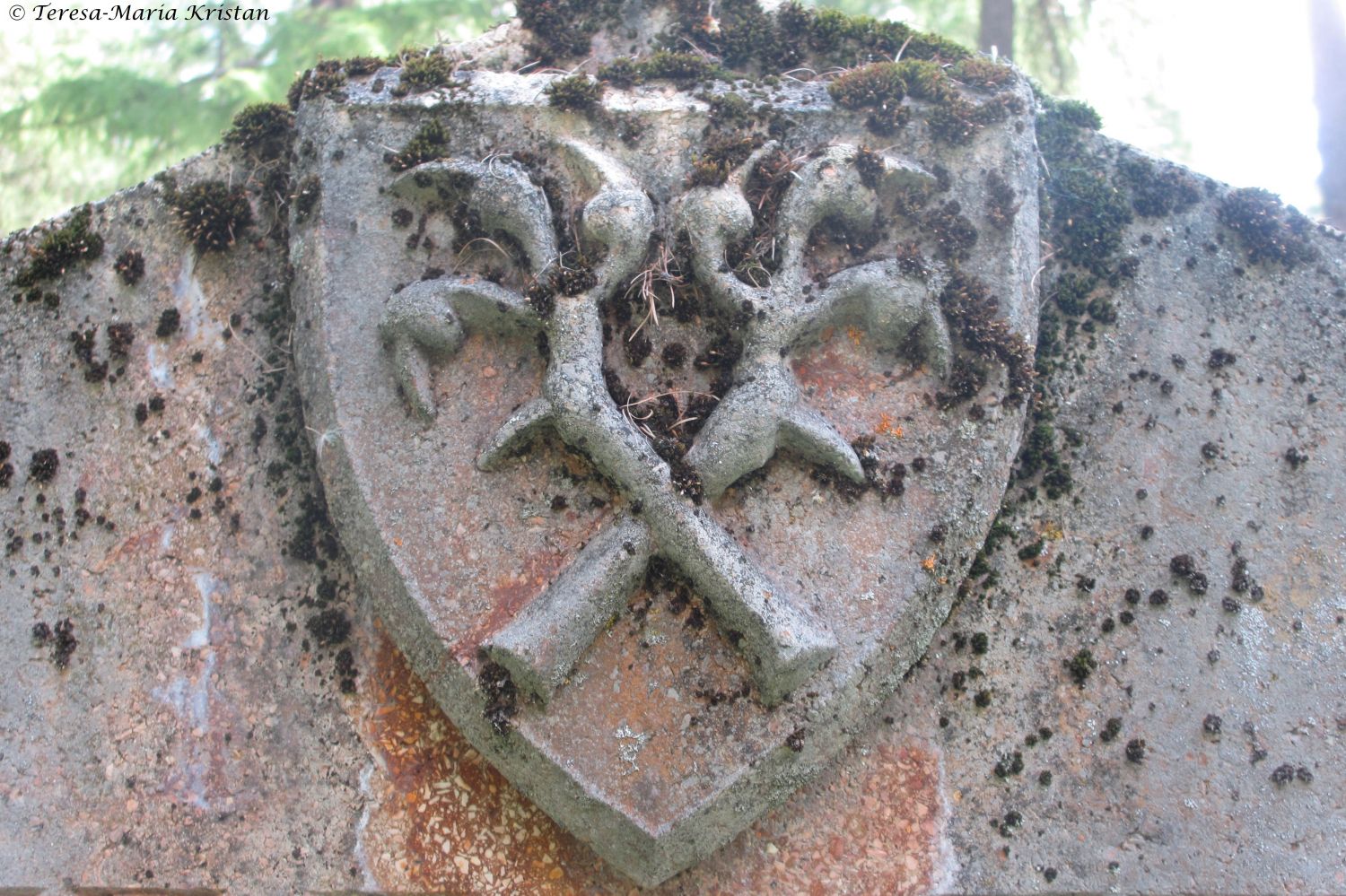 Waldfriedhof Davos- Detail Grabmal