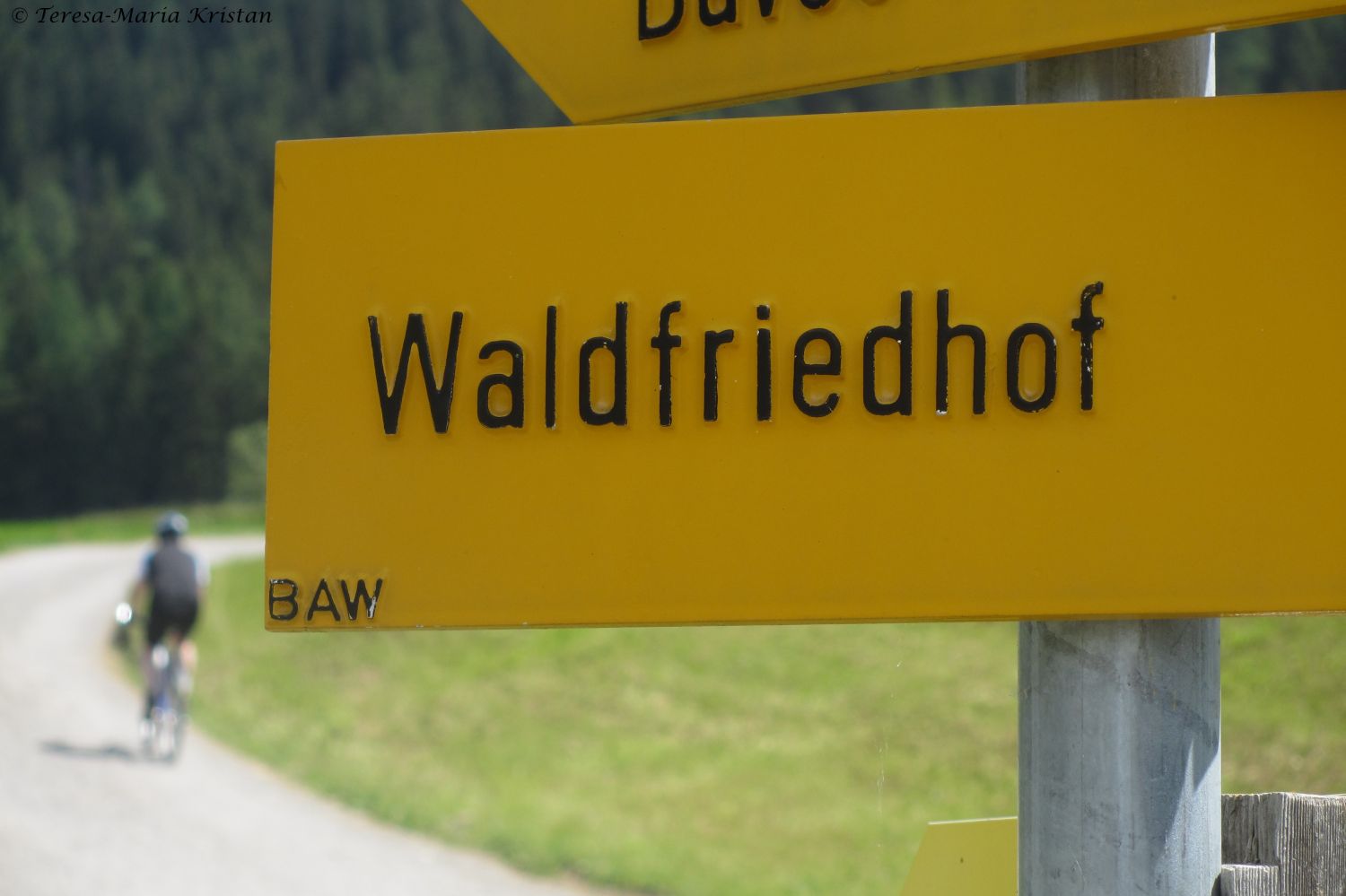 Waldfriedhof Davos