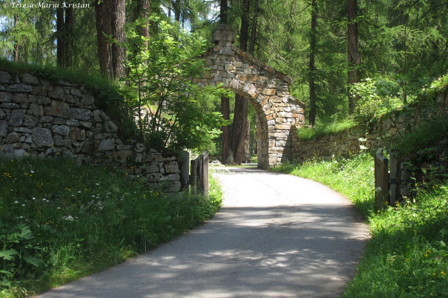 Waldfriedhof Davos