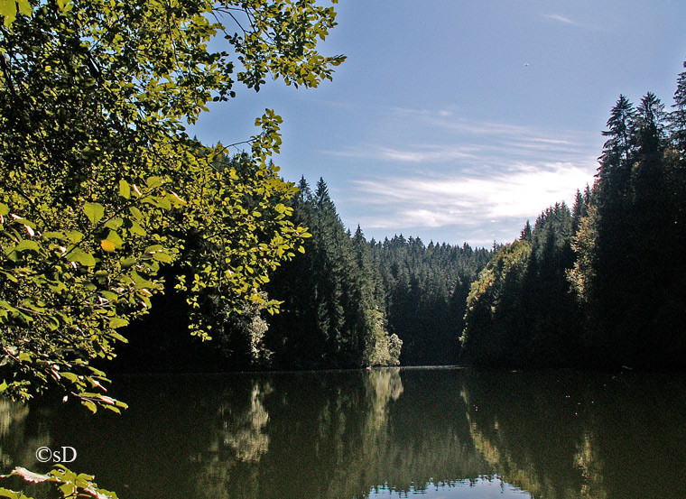 Waldsee