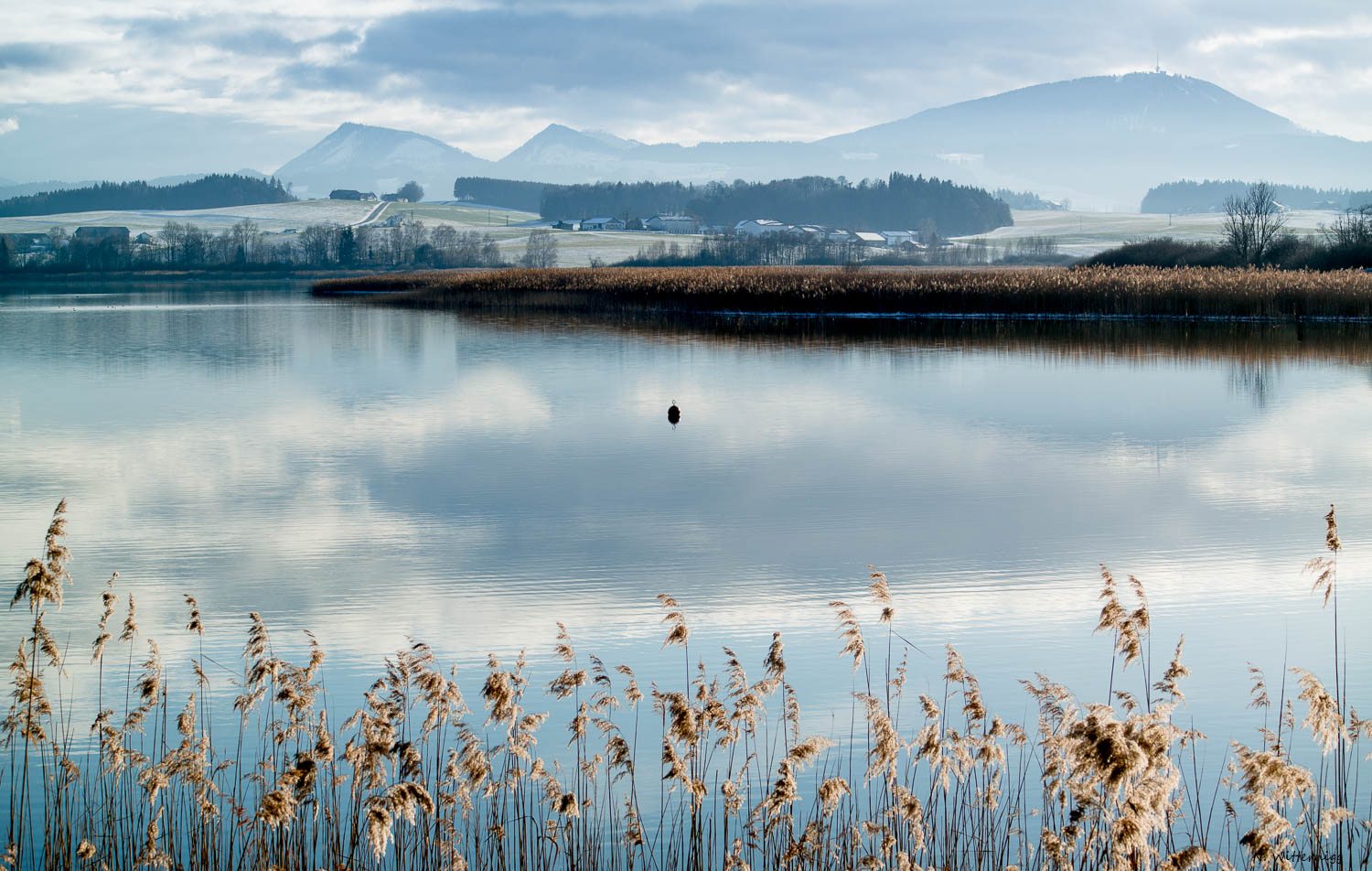 Wallersee - Blick zum Gaisberg