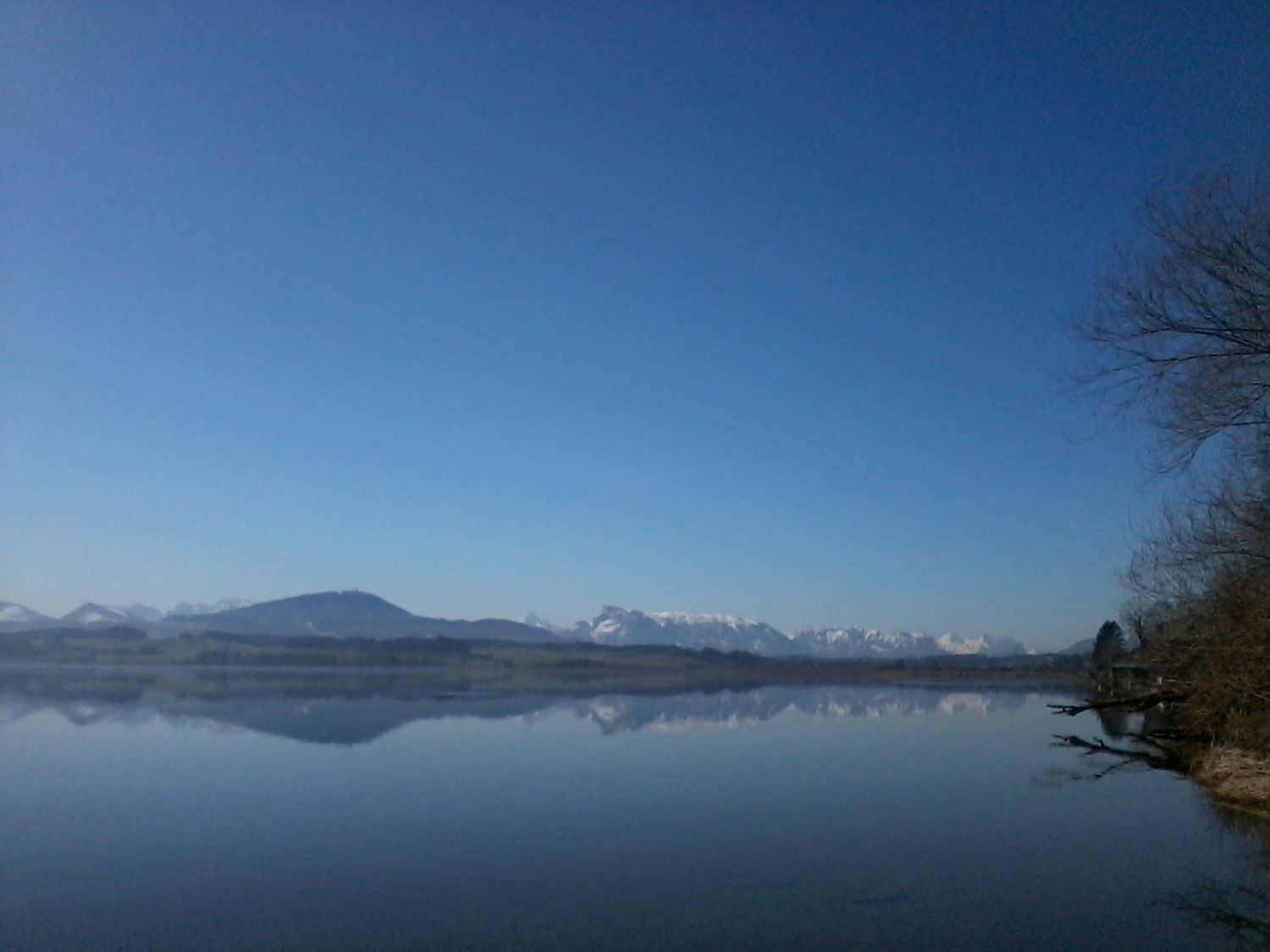 Wallersee im Frühling