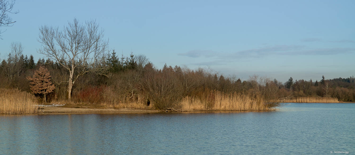 Wallersee - Uferlandschaft