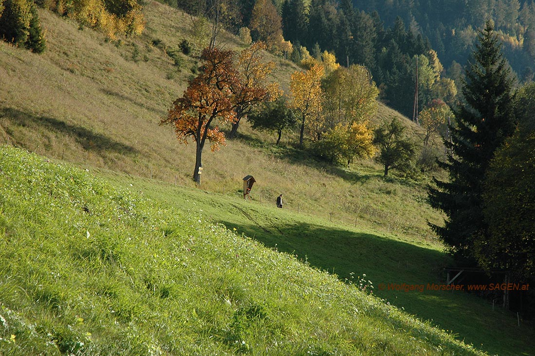 Wanderer Höpperg