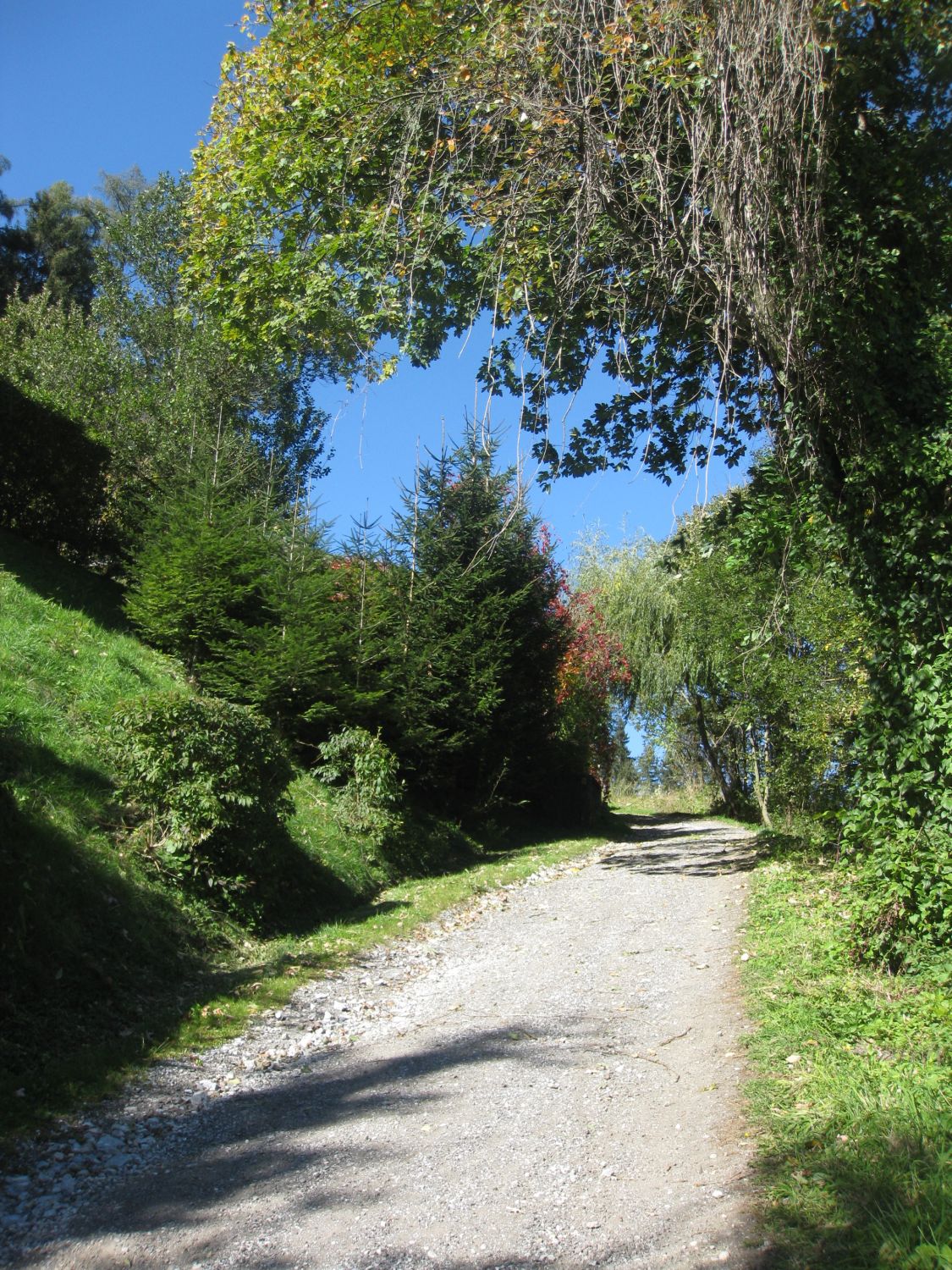 Wanderweg zur Burg Strechau