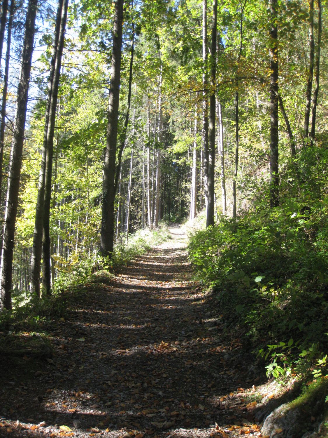 Wanderweg zur Burg Strechau