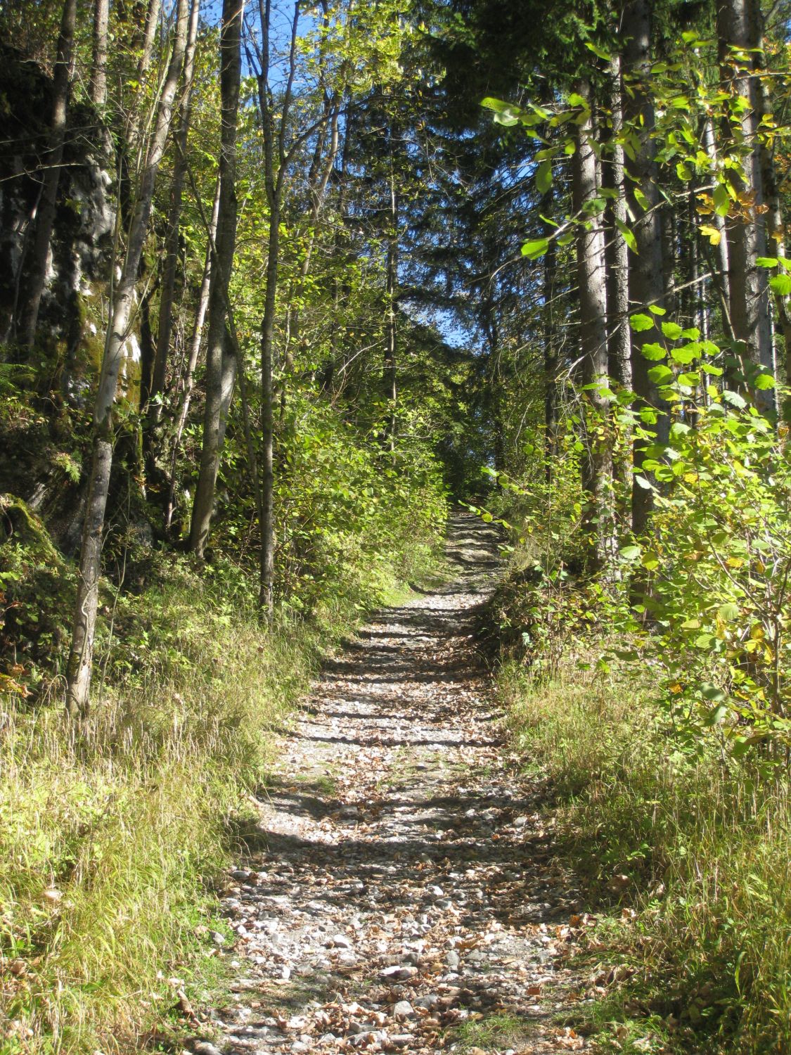 Wanderweg zur Burg Strechau