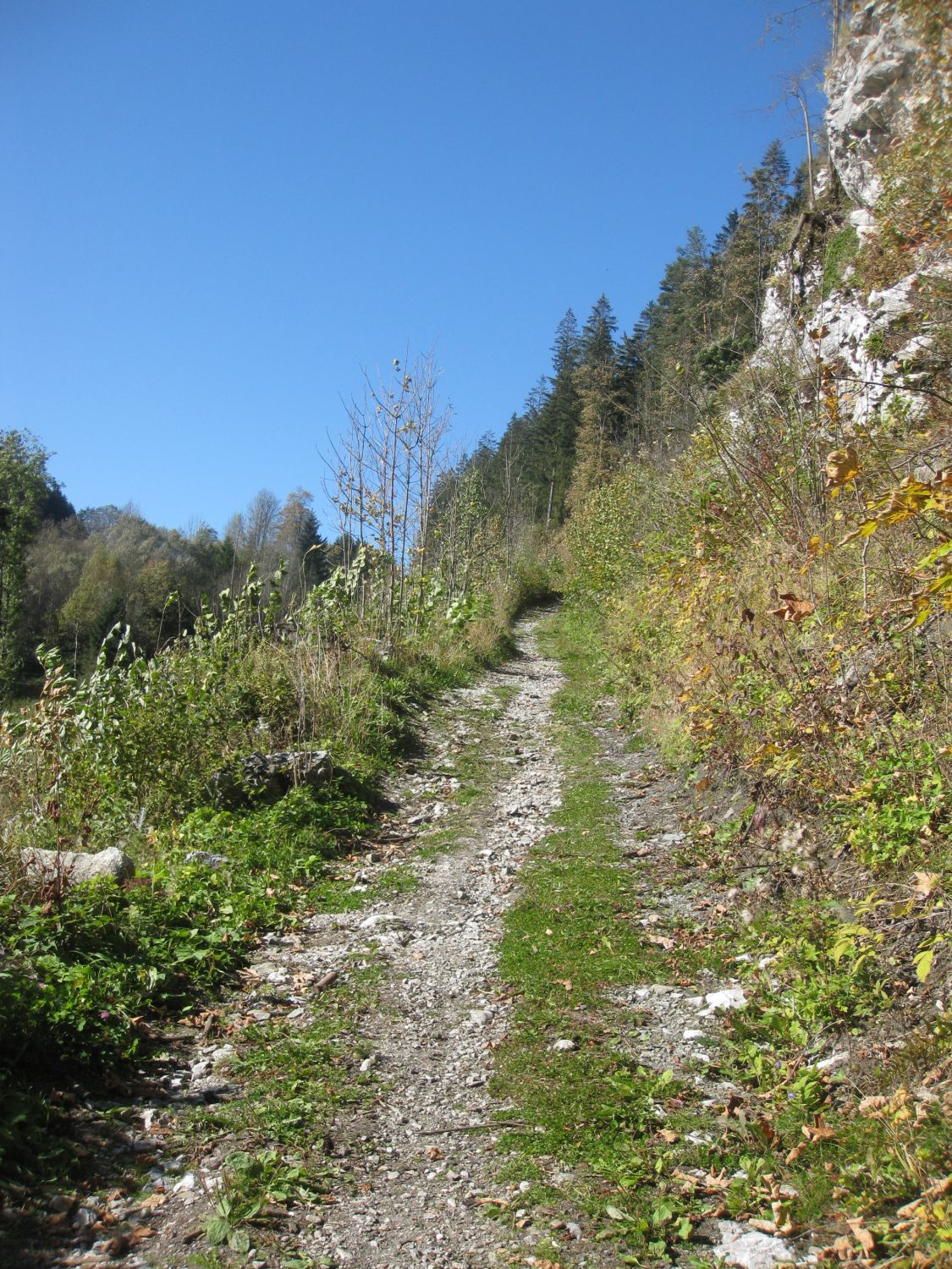 Wanderweg zur Burg Strechau