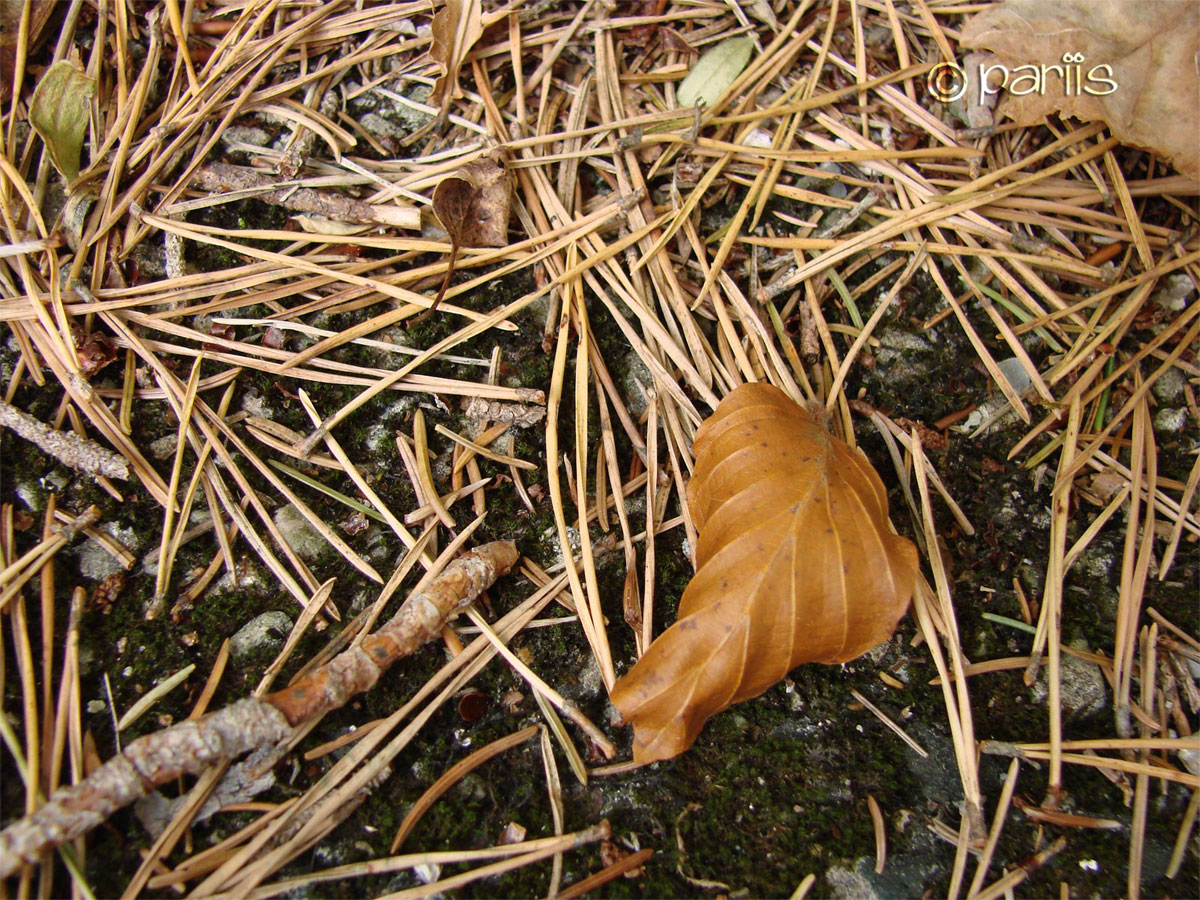 Warten auf den Winter