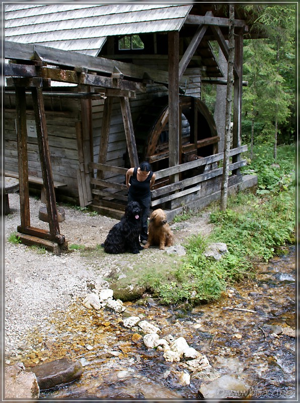 Wassermühle