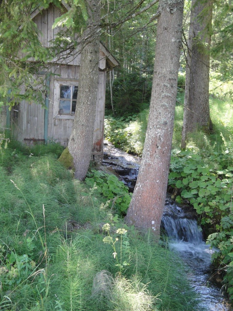 Wassermühlen im Gamsforst