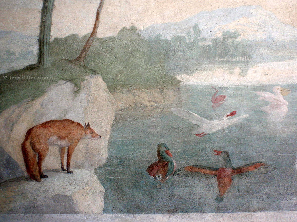 wasserscheuer Fuchs